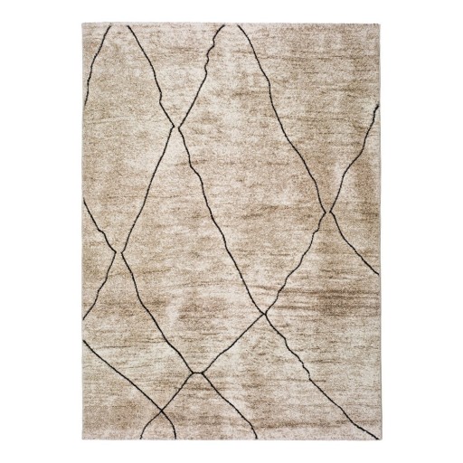 Covor Universal Hydra Beige, 160 x 230 cm, bej