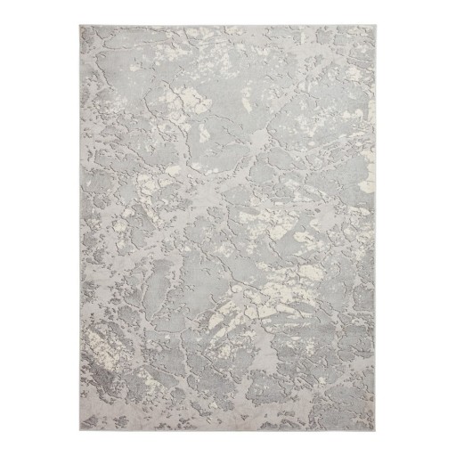 Covor gri/bej 170x120 cm Apollo - Think Rugs