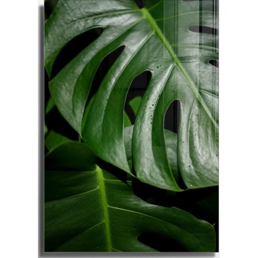 Tablou din sticlă 50x70 cm Monstera – Wallity