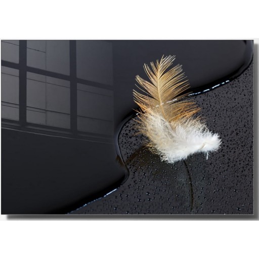 Tablou din sticlă 100x70 cm Feather – Wallity