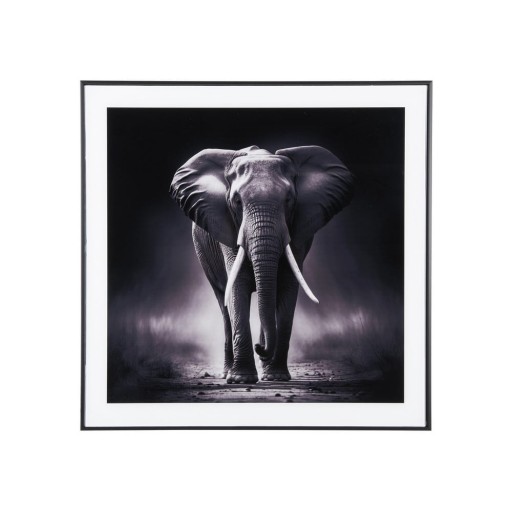 Tablou 50x50 cm Elephant – PT LIVING