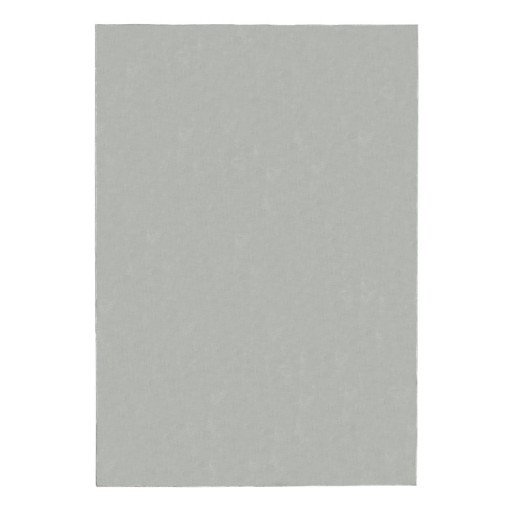 Covor gri deschis 120x170 cm – Flair Rugs