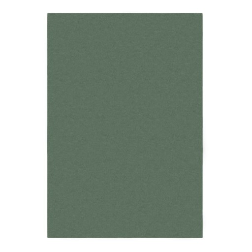 Covor verde 160x230 cm – Flair Rugs