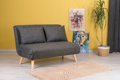 Canapea extensibilă cu 2 locuri, Futon, 859FTN2714, Metal , Gri inchis