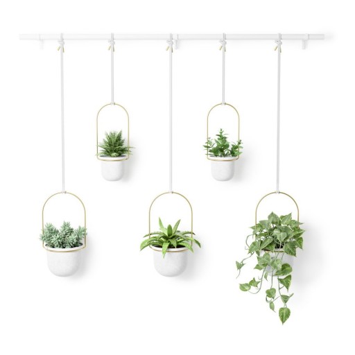 Ghiveci decorativ 5 buc. din plastic pentru ierburi aromatice/suspendată și de perete ø 7,5 cm Triflora – Umbra