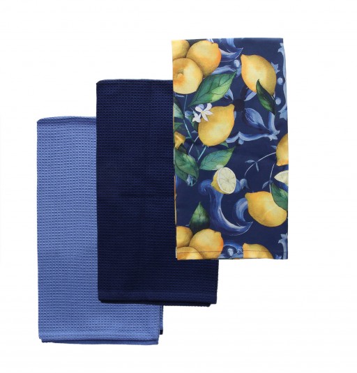 Set 3 prosoape pentru bucatarie Citrus, Andrea Fontebasso, 50x70 cm, bumbac, multicolor